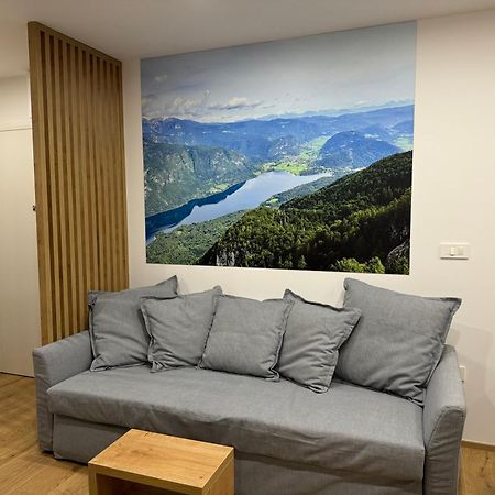 Apartma Tisa Bohinj-No Ouside Windows Luaran gambar