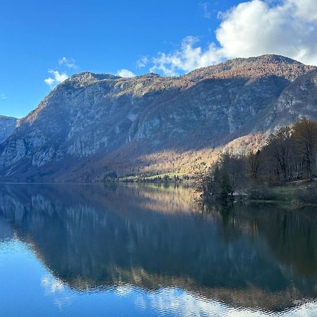 Apartma Tisa Bohinj-No Ouside Windows Luaran gambar