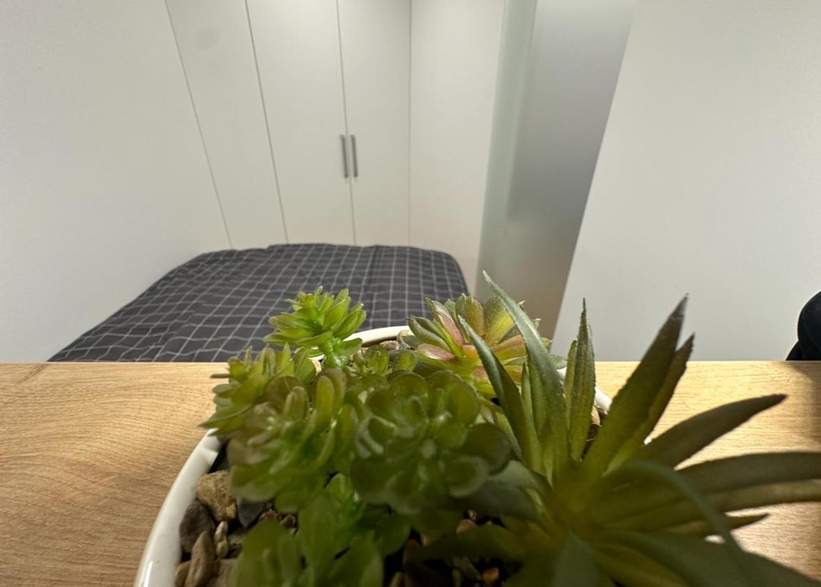 Apartma Tisa Bohinj-No Ouside Windows Luaran gambar